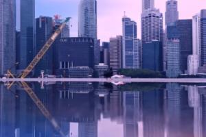 牛樟芝养生茶：30包/盒，640元/盒