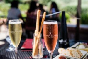 牛樟芝养生茶：30包/盒，640元/盒