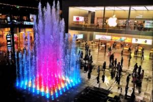 养生臻品牛樟芝茶滋养身心