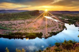 天然牛樟芝胶囊 滋养健康好帮手