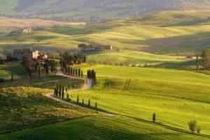 含牛樟芝润喉糖 喉咙好舒畅