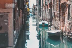 天然牛樟芝胶囊 滋养健康好帮手